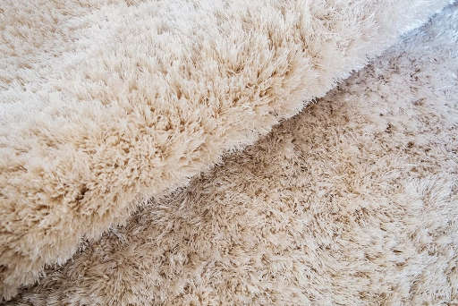 Carpet Cleaning Services