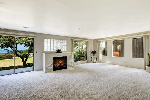 Premium Carpet Cleaners